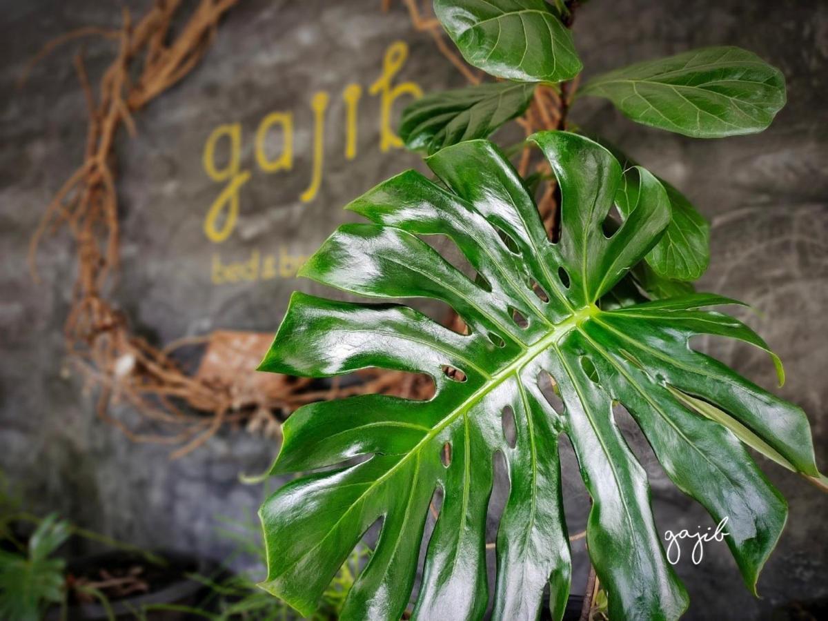 Gajib Bed&Breakfast Amphawa Exterior foto
